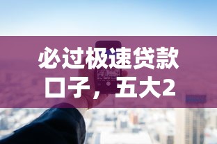 必过极速贷款口子，五大2025最新最新不查征信的口子