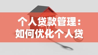 个人贷款管理：如何优化个人贷款还款策略