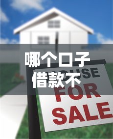 哪个口子借款不查征信，国内五大2025最新网贷平台可以借钱