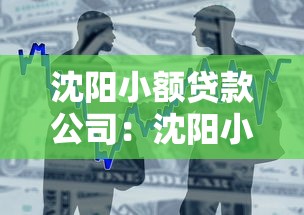 沈阳小额贷款公司：沈阳小额借贷机构有哪些