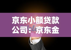 京东小额贷款公司：京东金融如何助力小微企业融资
