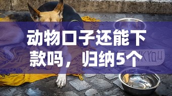 动物口子还能下款吗，归纳5个2025最新黑户也能借钱的平台