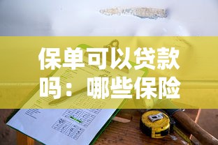 保单可以贷款吗：哪些保险单能申请抵押贷款