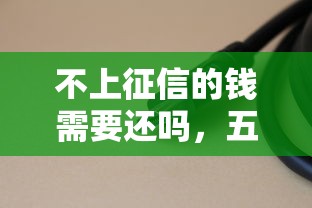 不上征信的钱需要还吗，五大2025最新2025有呆账能下款的口子