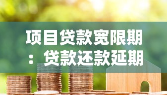 项目贷款宽限期：贷款还款延期最长能申请多久