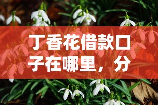 丁香花借款口子在哪里，分享五个2025最新国外贷款平台