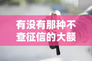 有没有那种不查征信的大额贷款，阐述5家2025最新黑户必下的口子