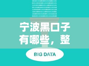 宁波黑口子有哪些，整合5个2025最新2025不查征信大数据百分百下款的平台