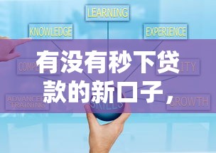 有没有秒下贷款的新口子，五大2025最新高额贷款平台
