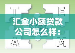 汇金小额贷款公司怎么样：开平汇金小贷公司经营状况如何