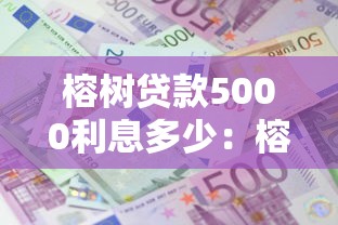 榕树贷款5000利息多少：榕树贷五千元分期利息如何计算