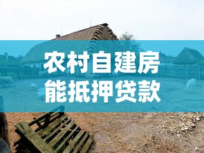 农村自建房能抵押贷款吗：农村自建房如何申请抵押贷款
