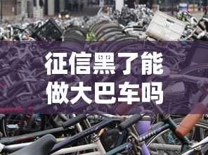 征信黑了能做大巴车吗，总结五个2025最新黑户借款必下口子