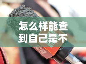 怎么样能查到自己是不是黑户，国内五大2025最新网贷全拒能下款的平台