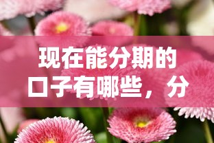 现在能分期的口子有哪些，分析五个2025最新融享花一样的平台