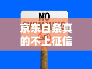京东白条真的不上征信吗，归纳5个2025最新安全可靠的贷款平台