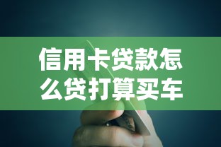 信用卡贷款怎么贷打算买车，省内五个2025最新网贷平台有多少家