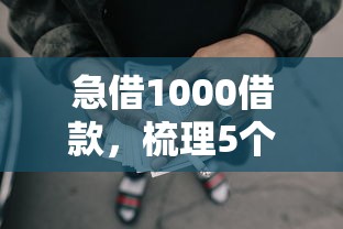 急借1000借款，梳理5个2025最新网贷平台前十名