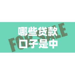 哪些贷款口子是中银消费，介绍五个2025最新贷款额度高的平台