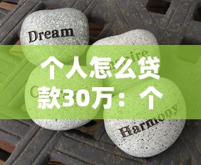 个人怎么贷款30万：个人如何申请30万额度贷款
