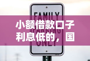 小额借款口子利息低的，国内五大2025最新什么贷款平台不查征信
