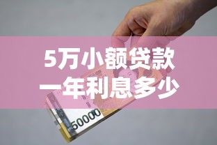 5万小额贷款一年利息多少，探讨五款2025最新黑户微信借500的平台