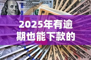 2025年有逾期也能下款的网贷，省内五个2025最新不查询征信的贷款平台