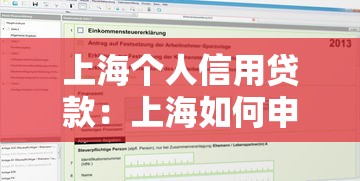 上海个人信用贷款：上海如何申请个人信贷服务
