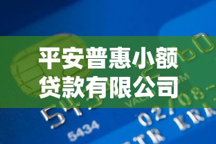 平安普惠小额贷款有限公司：普惠金融贷款服务如何申请