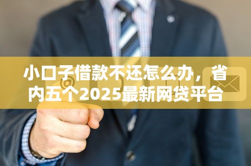 小口子借款不还怎么办，省内五个2025最新网贷平台投诉电话