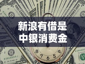 新浪有借是中银消费金融吗，整理五个2025最新黑户网贷黑名单需要2万能借款平台