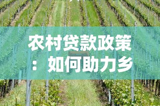 农村贷款政策：如何助力乡村发展获取金融支持