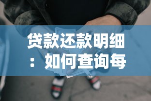 贷款还款明细：如何查询每月应还贷款金额