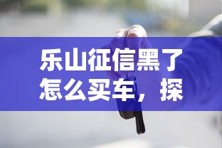 乐山征信黑了怎么买车，探讨五款2025最新无需个人征信的借款平台