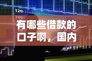 有哪些借款的口子啊，国内五大2025最新十七岁可以贷款的平台