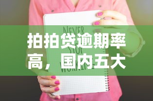 拍拍贷逾期率高，国内五大2025最新好借的贷款平台