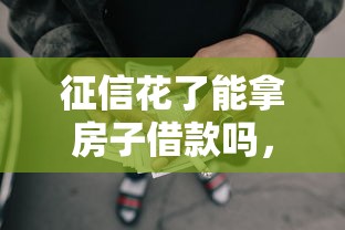 征信花了能拿房子借款吗，推荐五个2025最新黑户网贷平台能借到钱啊急用