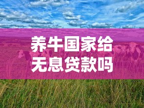 养牛国家给无息贷款吗：养牛能否申请国家无息贷款
