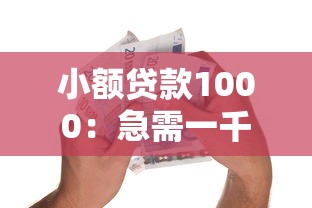 小额贷款1000：急需一千元哪里能快速借款