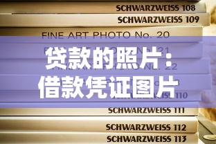 贷款的照片：借款凭证图片如何获取