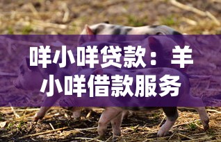 咩小咩贷款：羊小咩借款服务靠谱吗