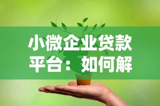 小微企业贷款平台：如何解决小微企业融资难题