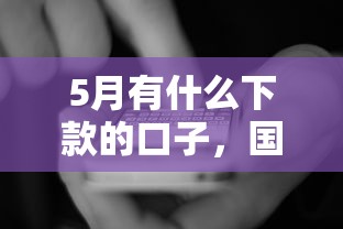5月有什么下款的口子，国内五大2025最新贷款平台排行榜