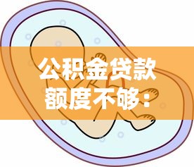 公积金贷款额度不够：公积金贷款额度不足如何解决
