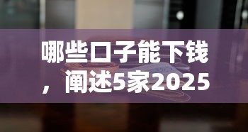 哪些口子能下钱，阐述5家2025最新2025高炮借款平台黑口子链接