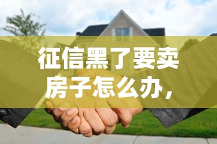 征信黑了要卖房子怎么办，总结五个2025最新申请贷款平台