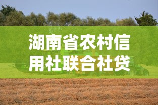 湖南省农村信用社联合社贷款，介绍五个2025最新2025专门给花户放款的平台