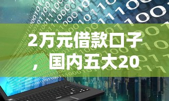 2万元借款口子，国内五大2025最新网上正规借钱平台