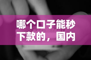 哪个口子能秒下款的，国内五大2025最新黑户口子秒下的