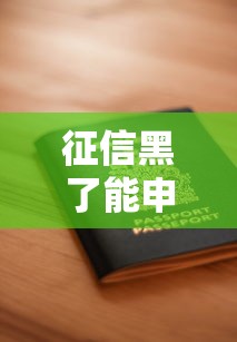 征信黑了能申请低保吗，五大2025最新公司贷款平台